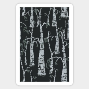 Birch Trees in the Winter Time Sticker